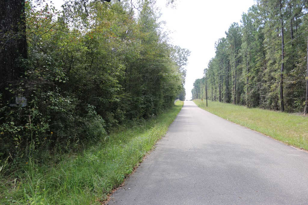 0 Salem Road Laurel, MS 39443 - Photo 9 of 10 Photo 9