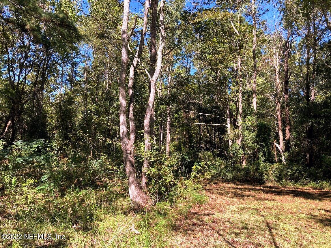 3265 Stratton Road Jacksonville, FL 32221 - Photo 3 of 13 a view of a yard with plants and trees