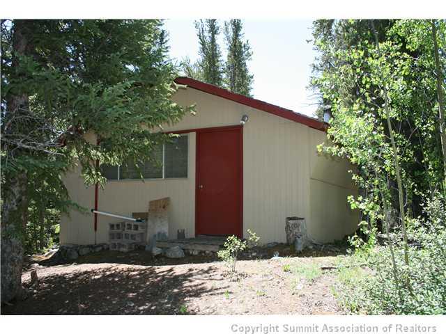 1006 Quartzville Road Alma, CO 80420 - Photo 8 of 11 Gallery Image 8