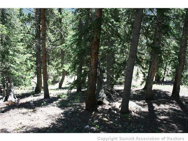1006 Quartzville Road Alma, CO 80420 - Photo 10 of 11 Gallery Image 10