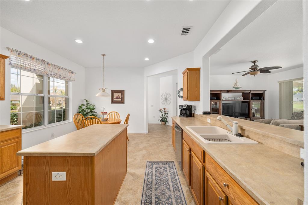 8788 Southeast 130th Loop Summerfield, FL 34491 - Photo 22 of 78