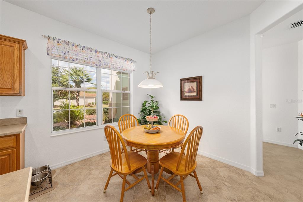 8788 Southeast 130th Loop Summerfield, FL 34491 - Photo 23 of 78