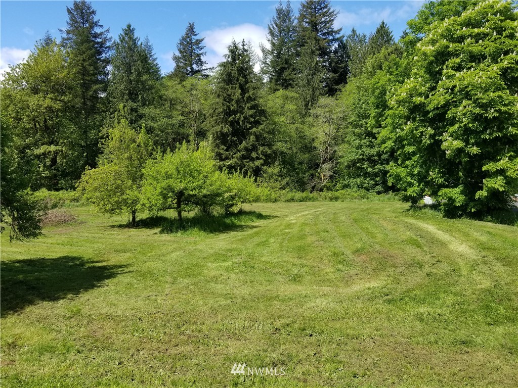 107 Carlon Loop Road Longview, WA 98632 - Photo 22 of 25 a view of yard with green space