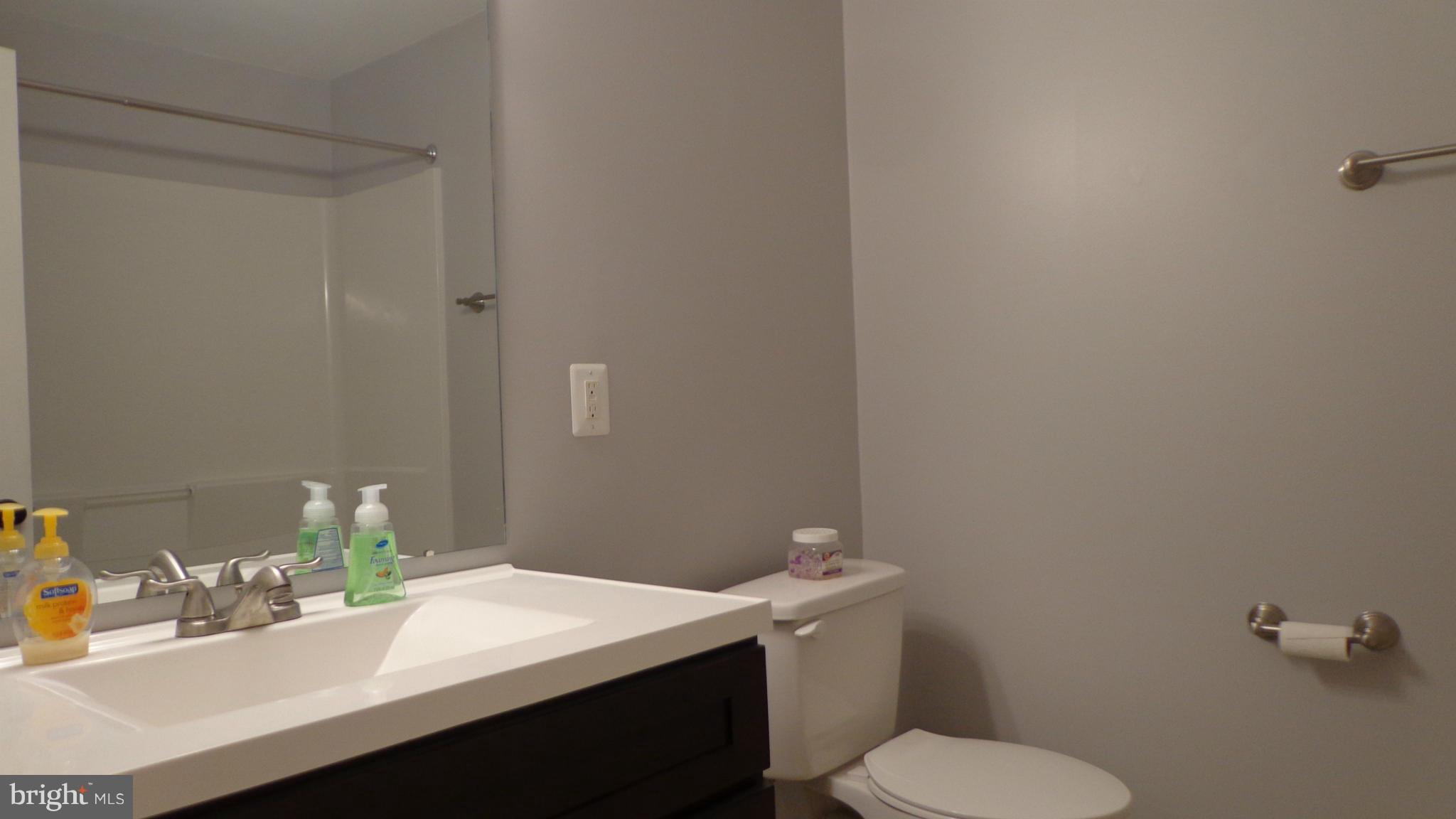 16286 Oak Shade Road Rixeyville, VA 22737 - Photo 14 of 24 a bathroom with a sink a toilet and mirror