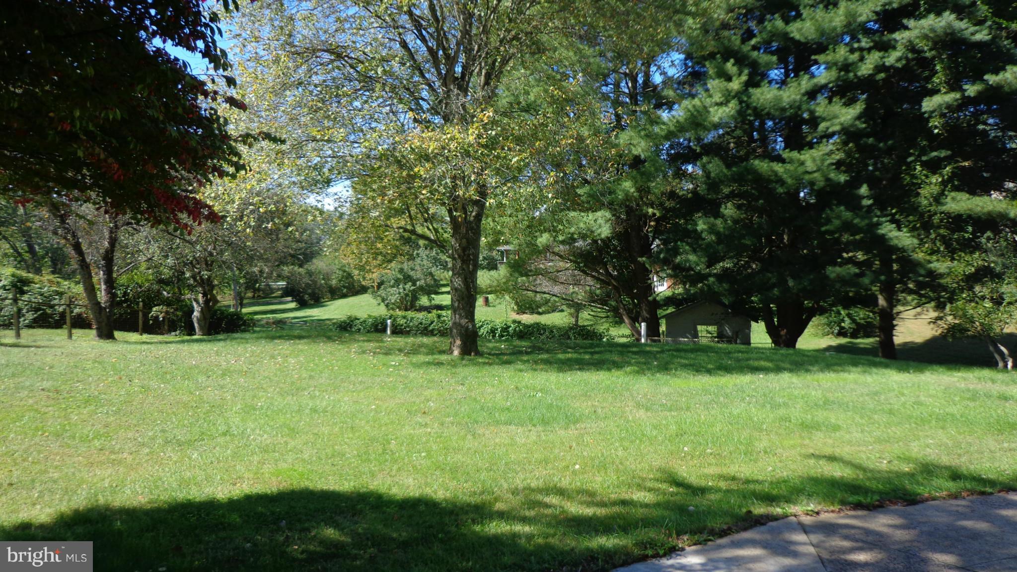 16286 Oak Shade Road Rixeyville, VA 22737 - Photo 23 of 24 a view of a tree in a yard
