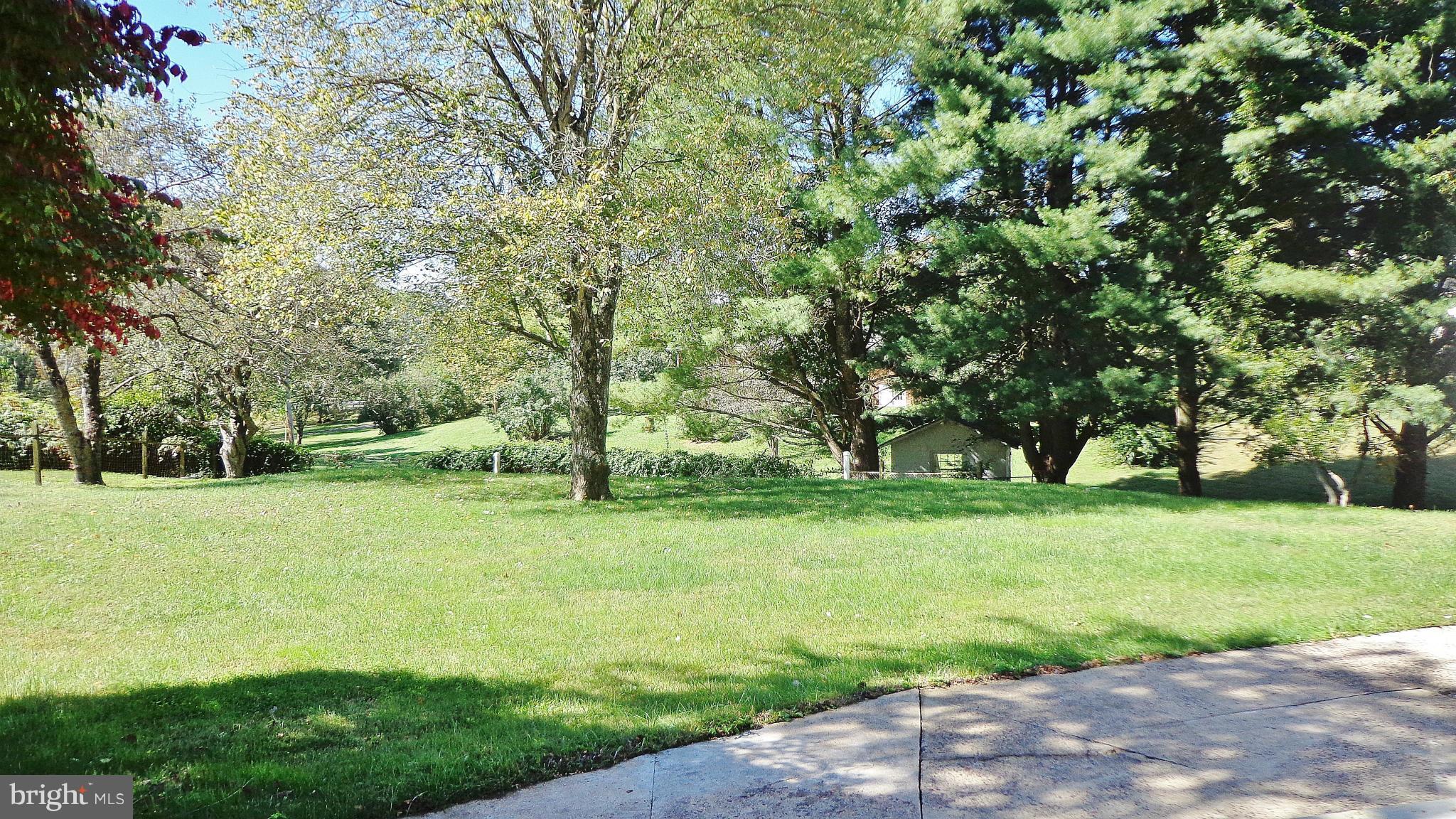 16286 Oak Shade Road Rixeyville, VA 22737 - Photo 6 of 24 a view of field with trees in the background