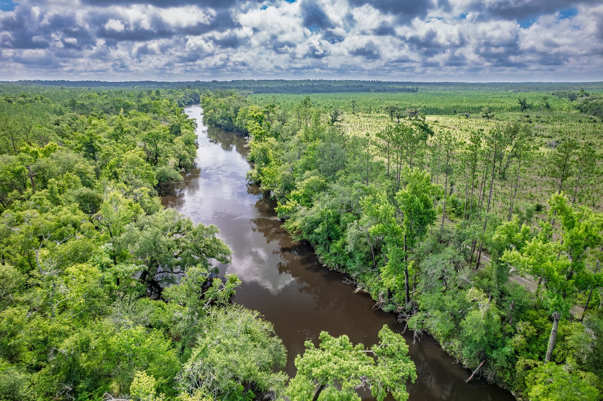 Xxx Northeast Hickory Grove Road Pinetta, FL 32350 - Photo 12 of 32