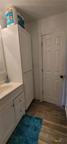 a bathroom with a sink and a toilet