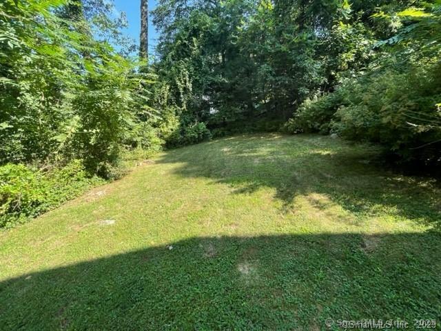 20 Musnug Road Danbury, CT 06811 - Photo 35 of 39 a view of yard with green space