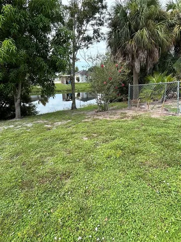 a view of a tree in a yard