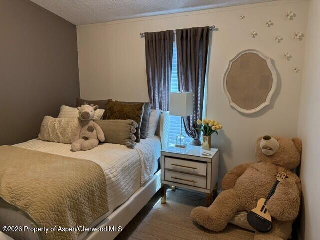 101 Emma Road, Unit 45 Basalt, CO 81621 - Photo 14 of 17 Middle Bedroom