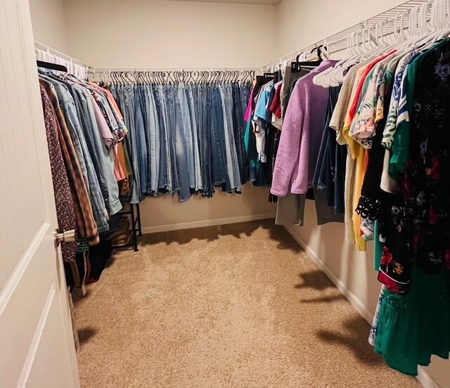 473 Earl Godwin Road Freeport, FL 32439 - Photo 8 of 25 a view of walk in closet with clothes