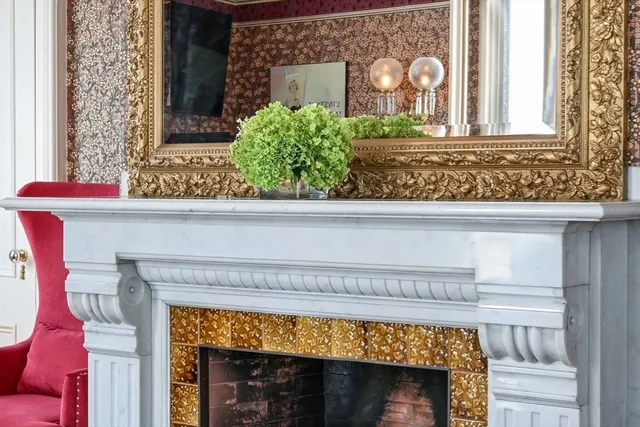 a close view of fireplace and a potted plant