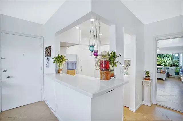 a kitchen with sink and potted plant