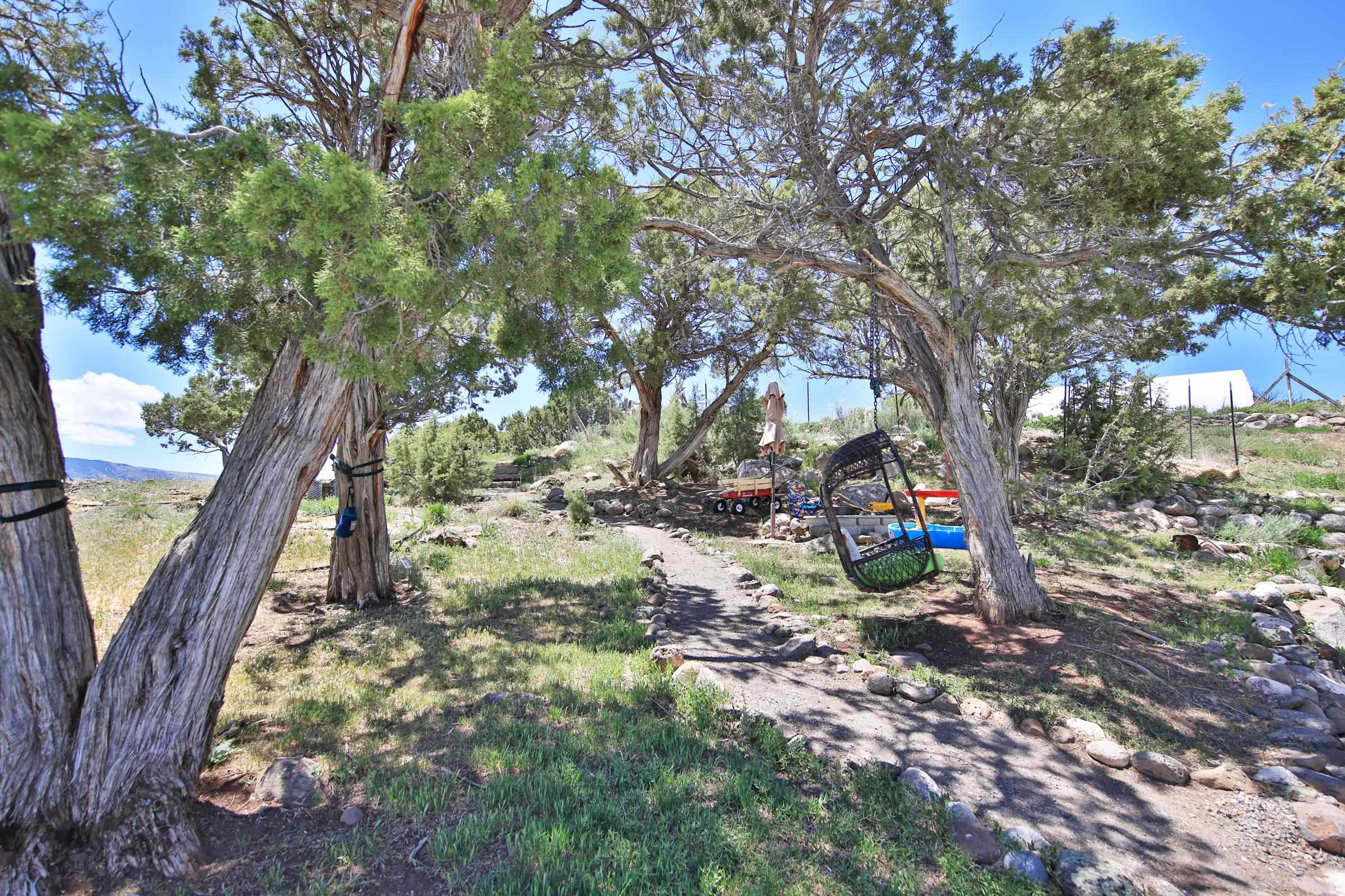 57191 Me Road Collbran, CO 81624 - Photo 26 of 42 a backyard of a house with lots of green space