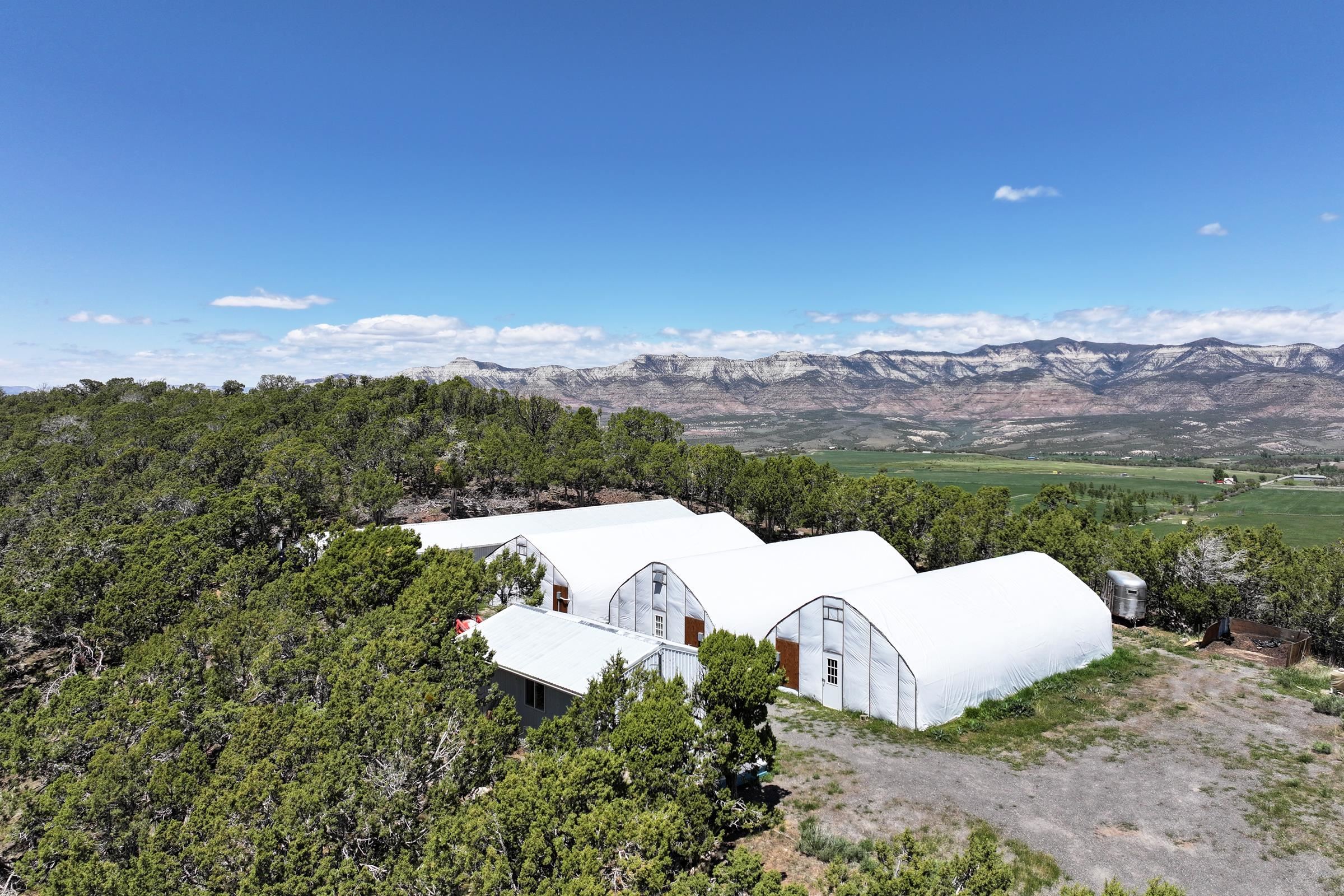 57191 Me Road Collbran, CO 81624 - Photo 32 of 42 a view of a house with a yard and mountain