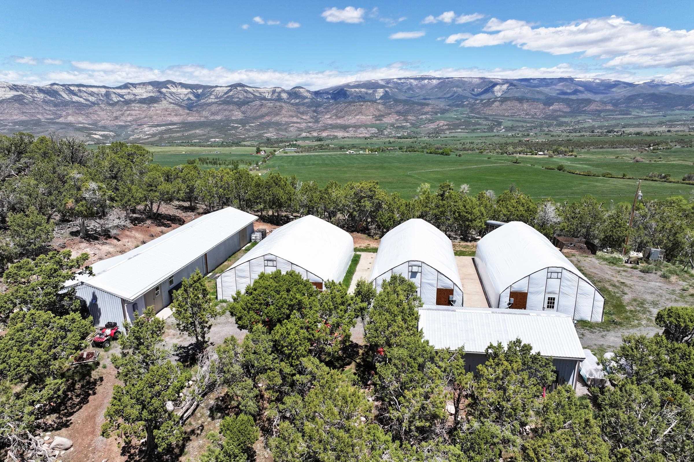 57191 Me Road Collbran, CO 81624 - Photo 33 of 42 a view of a house with a yard and mountain