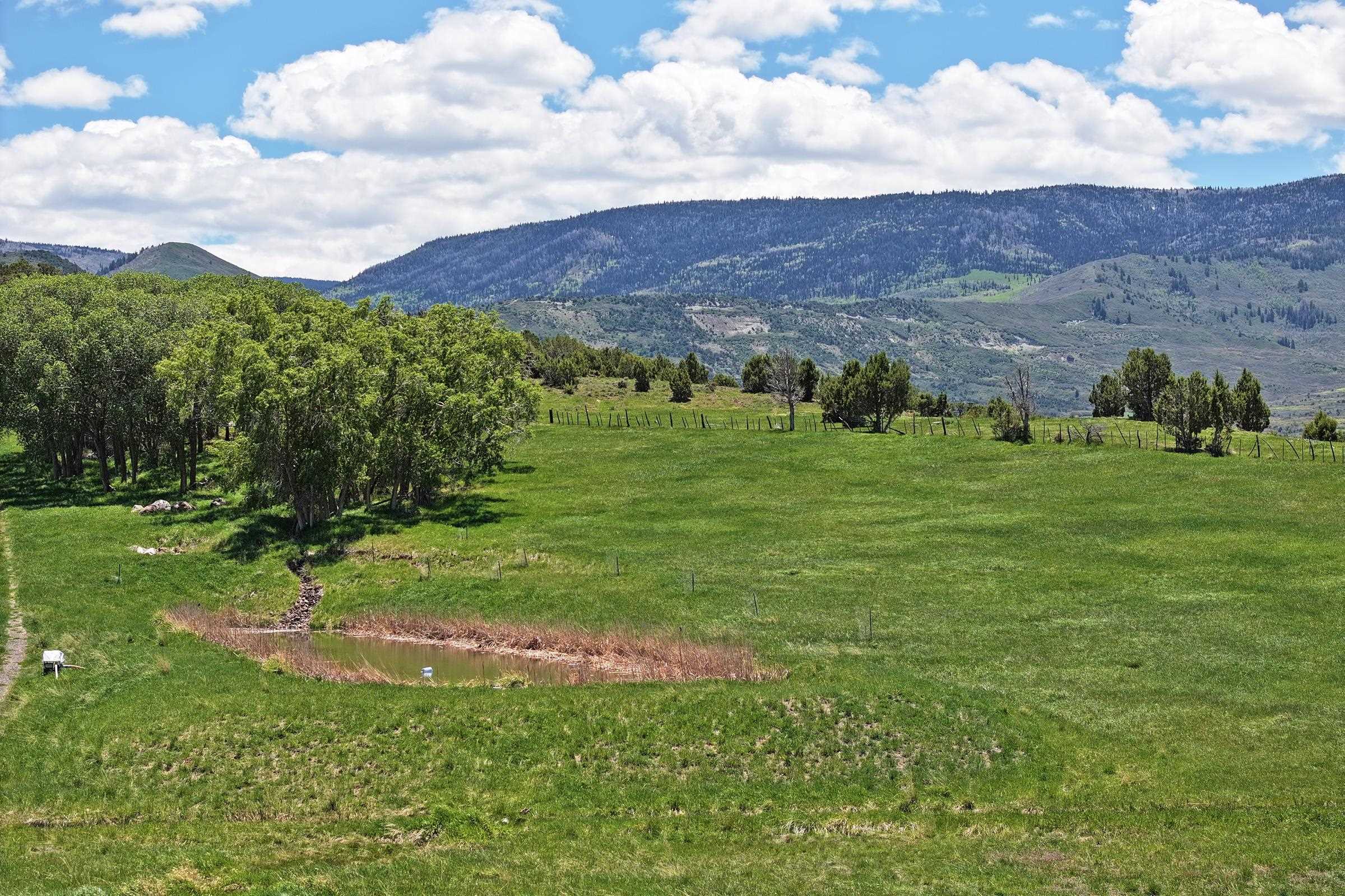 57191 Me Road Collbran, CO 81624 - Photo 38 of 42 a view of a grassy field with mountains in the background