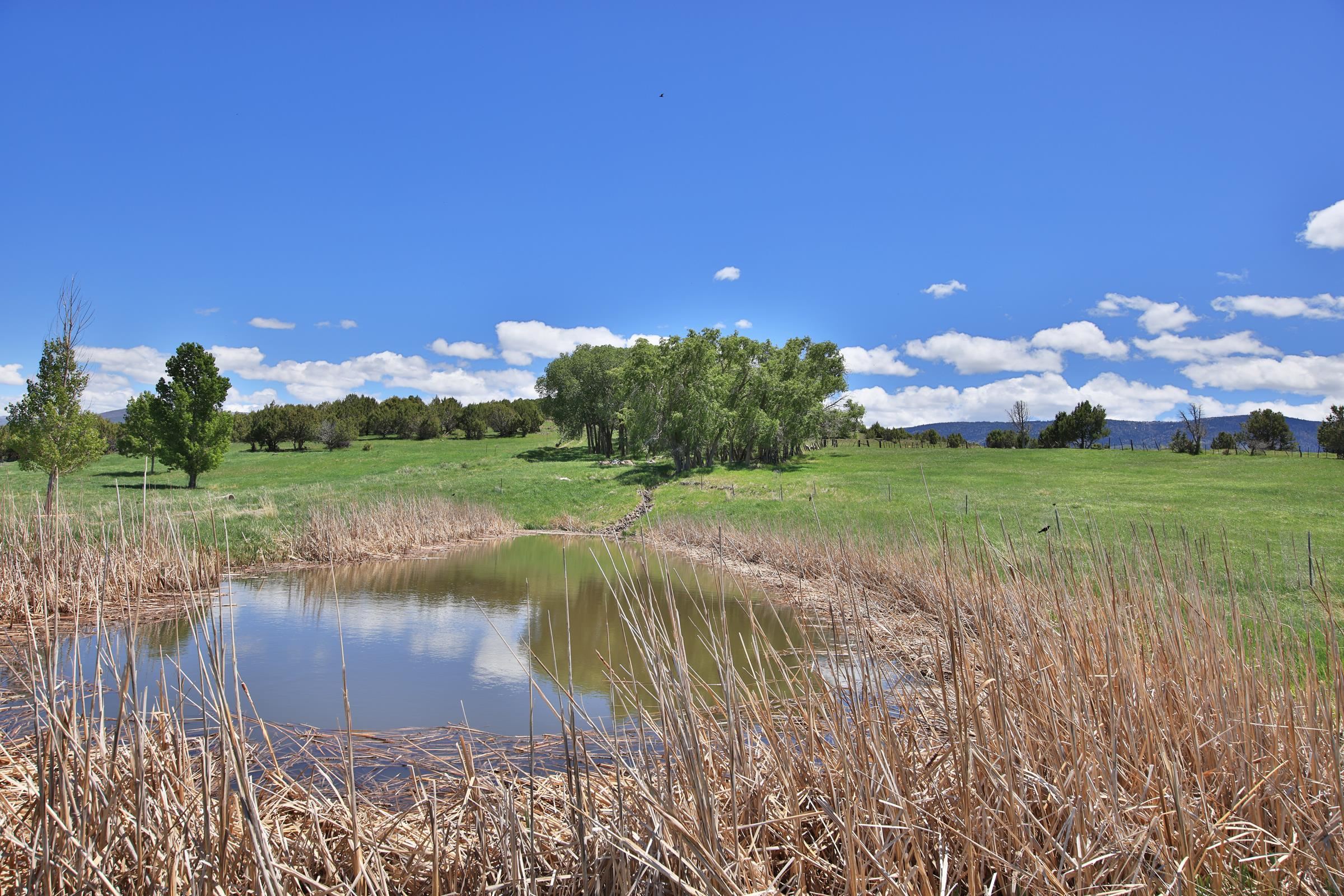 57191 Me Road Collbran, CO 81624 - Photo 39 of 42 a view of a lake from a yard
