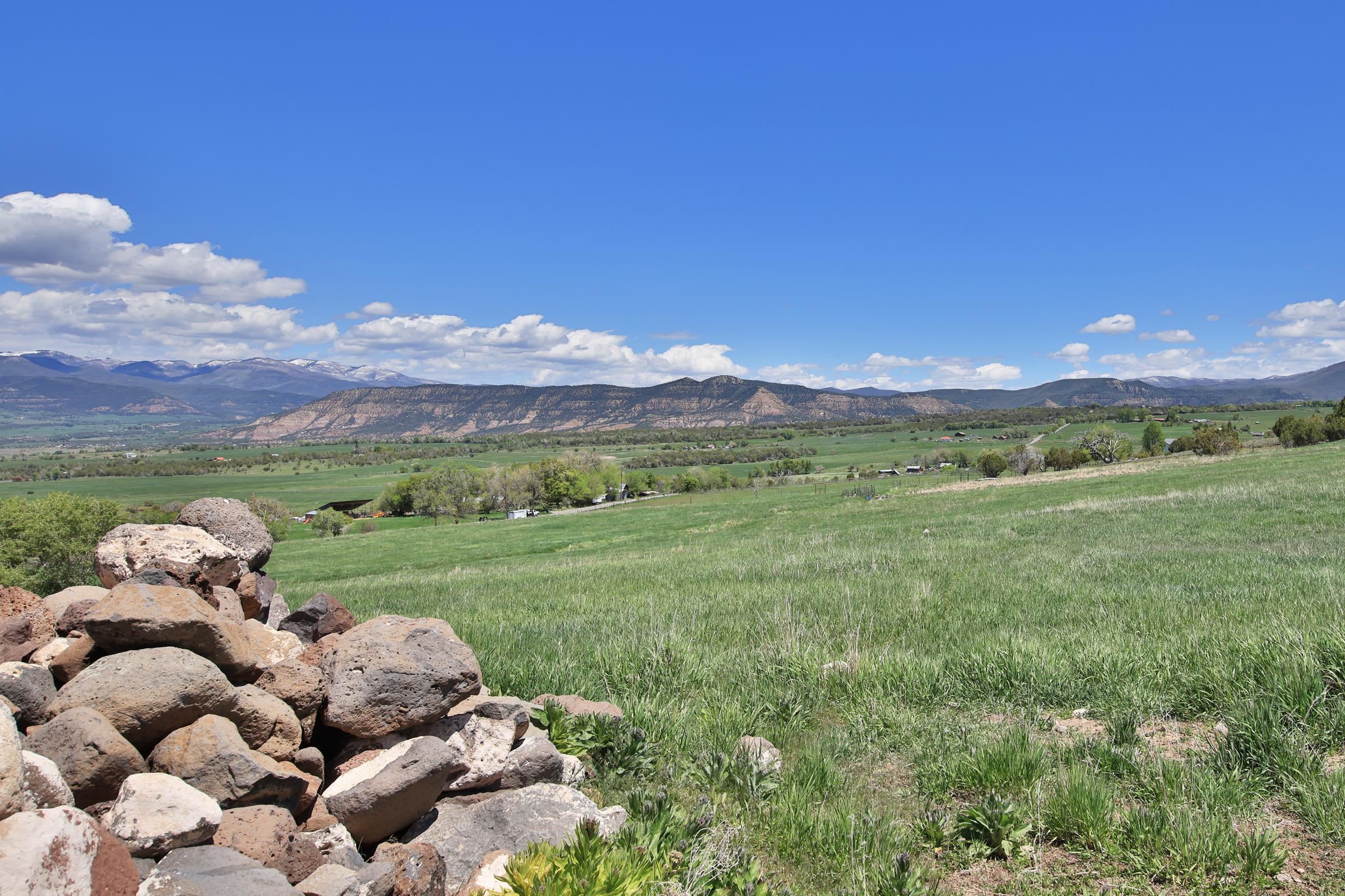 57191 Me Road Collbran, CO 81624 - Photo 42 of 42 a view of a lush green field