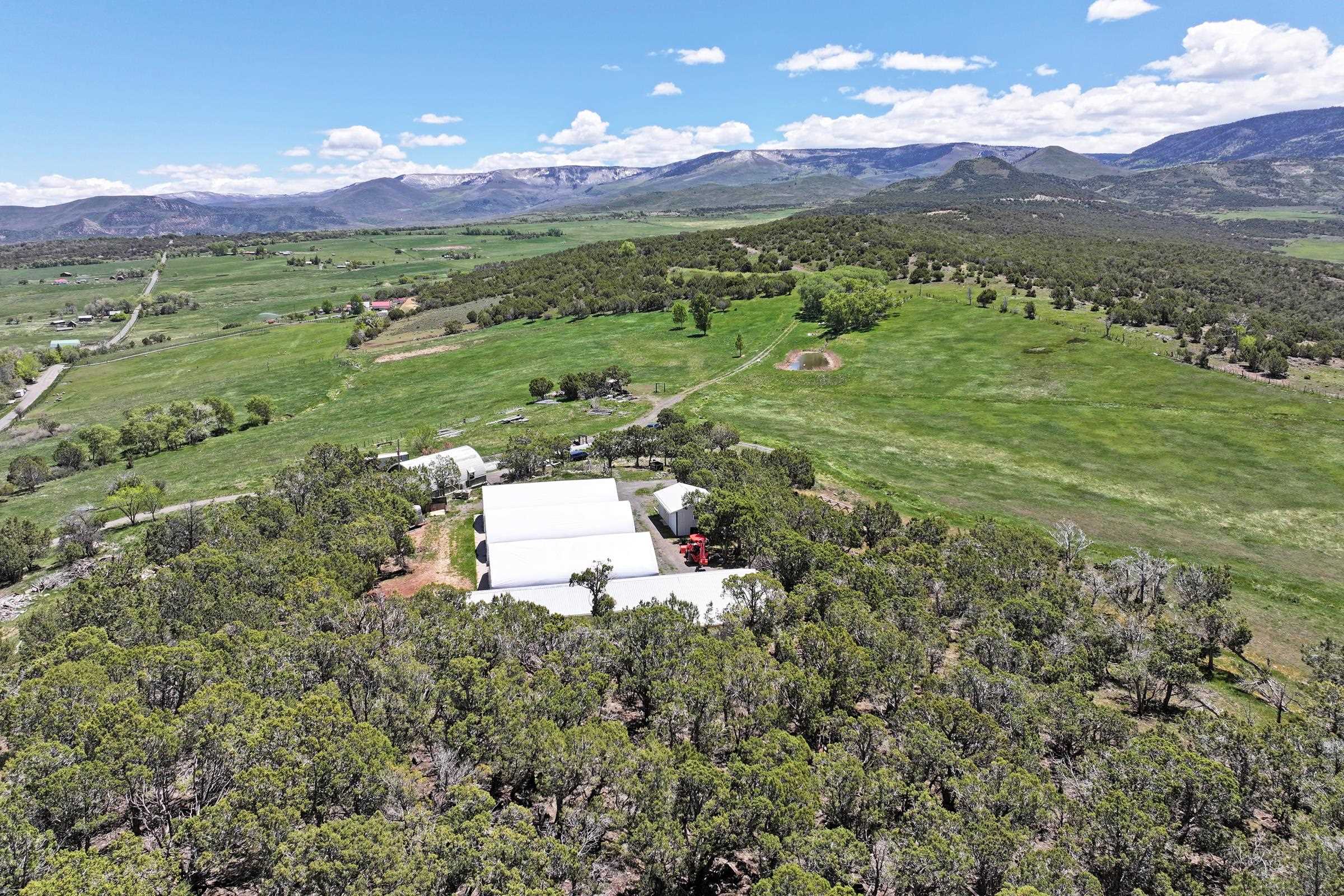 57191 Me Road Collbran, CO 81624 - Photo 7 of 42 a view of a lush green hillside and houses