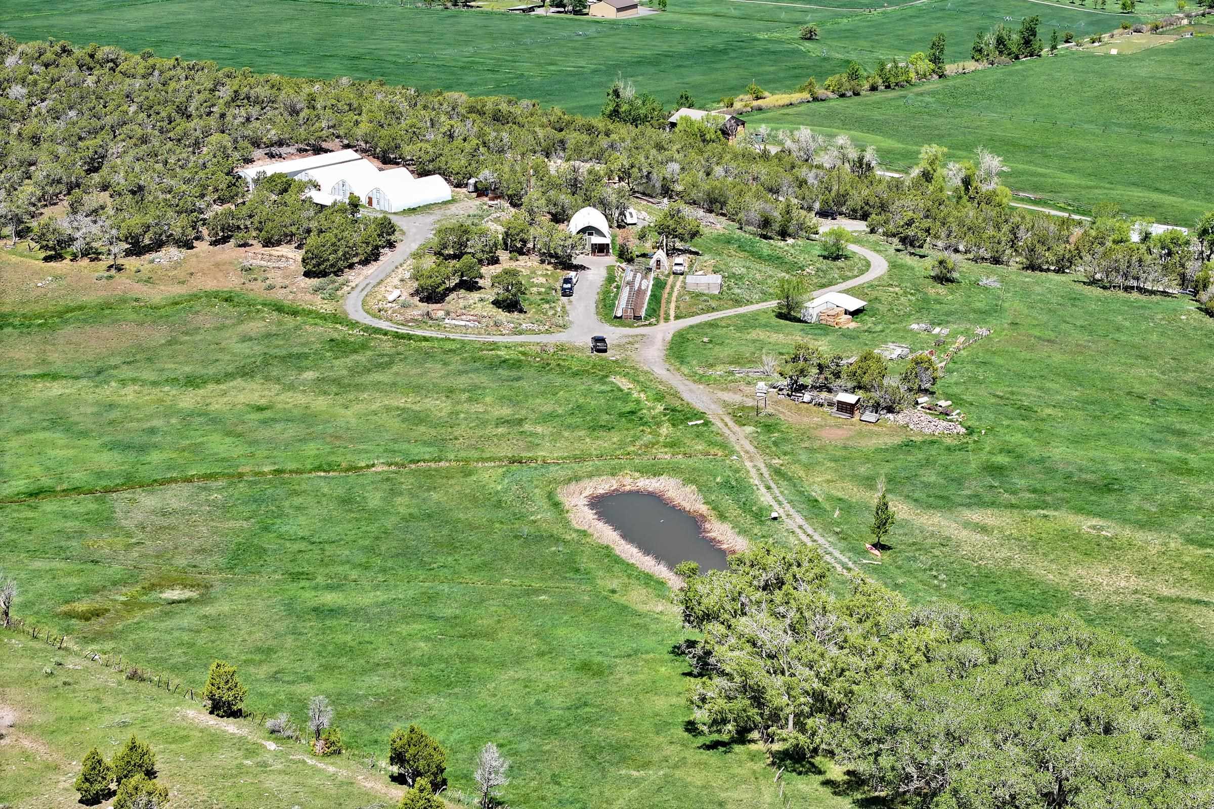 57191 Me Road Collbran, CO 81624 - Photo 8 of 42 a backyard of a house with a yard and outdoor seating