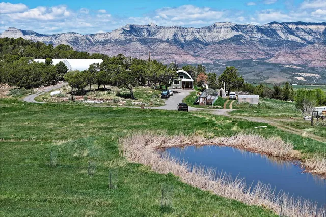 a view of a garden with a building in the background