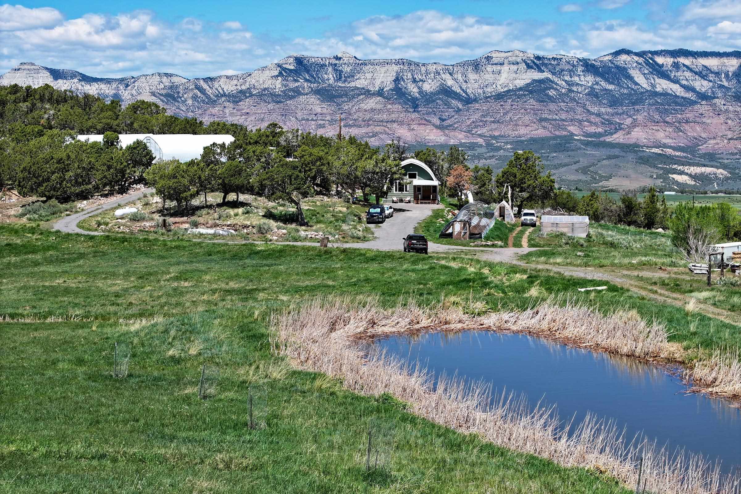 57191 Me Road Collbran, CO 81624 - Photo 10 of 42 a view of a backyard