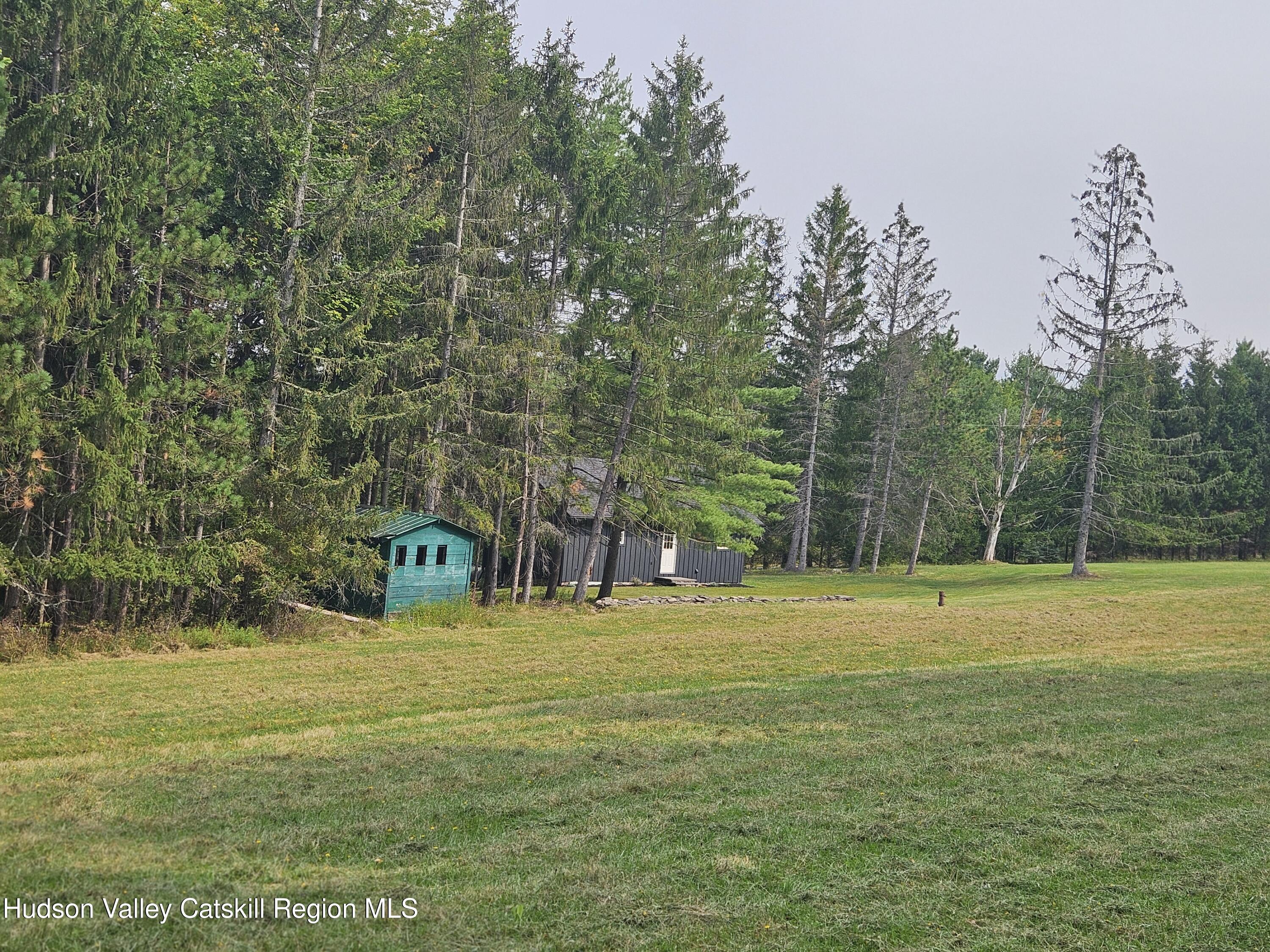 20 Reich Road Cornwallville, NY 12418 - Photo 49 of 53 Spacious Land