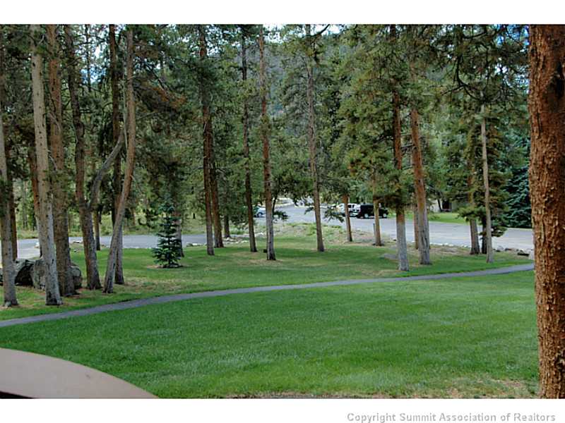 2007 Soda Ridge Road, Unit 1922 Keystone, CO 80435 - Photo 22 of 25 View. Lush landscapes