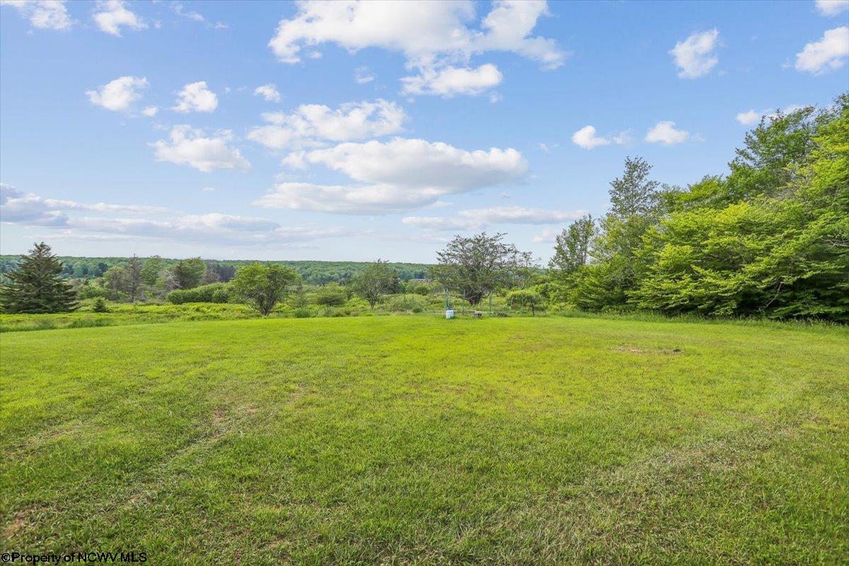 551 Sand Run Road Davis, WV 26260 - Photo 39 of 44 Gallery Image 39