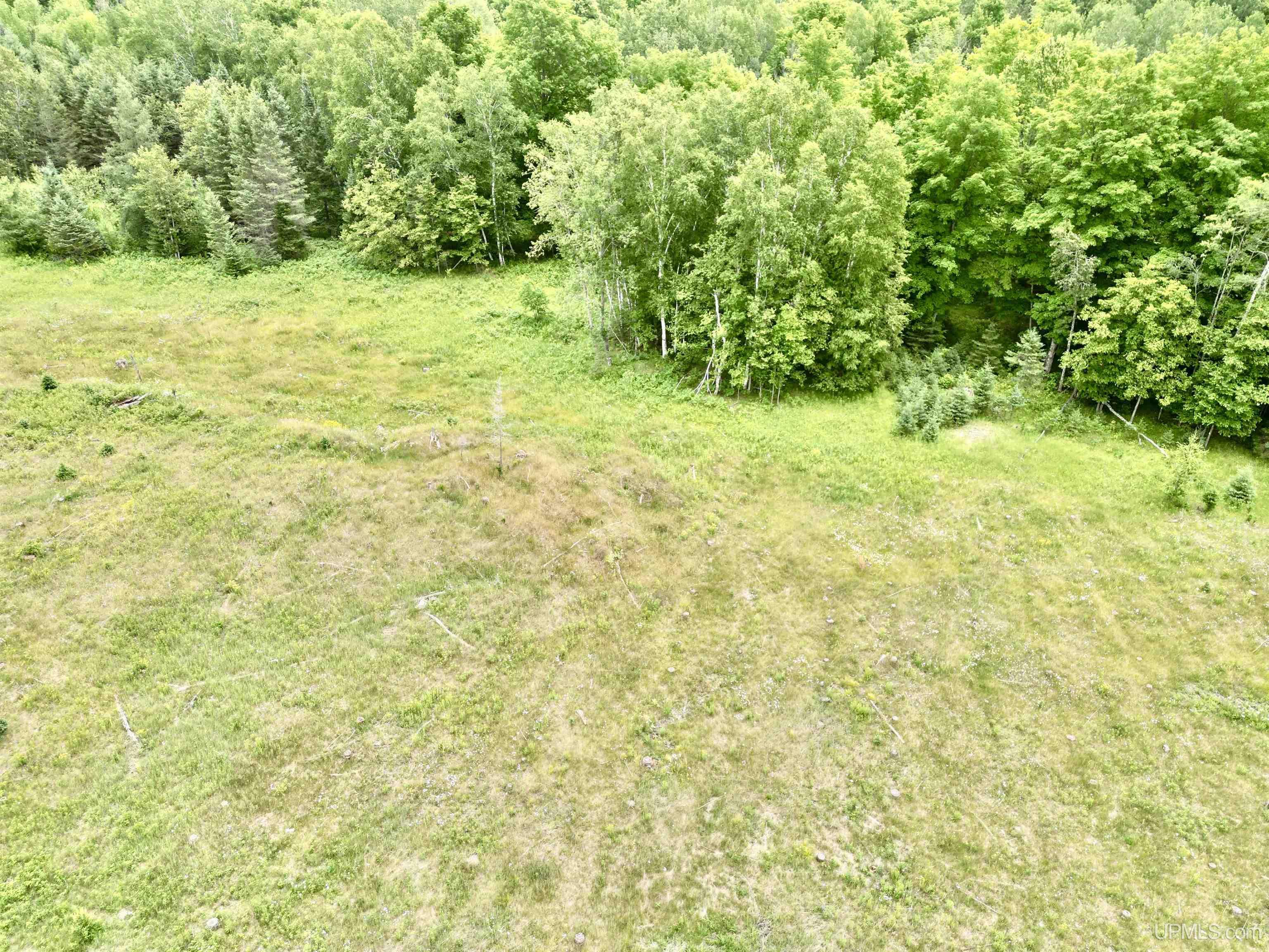 Tbd Tbd Truax Lane Road, Unit 1 Cornell, MI 49818 - Photo 13 of 13