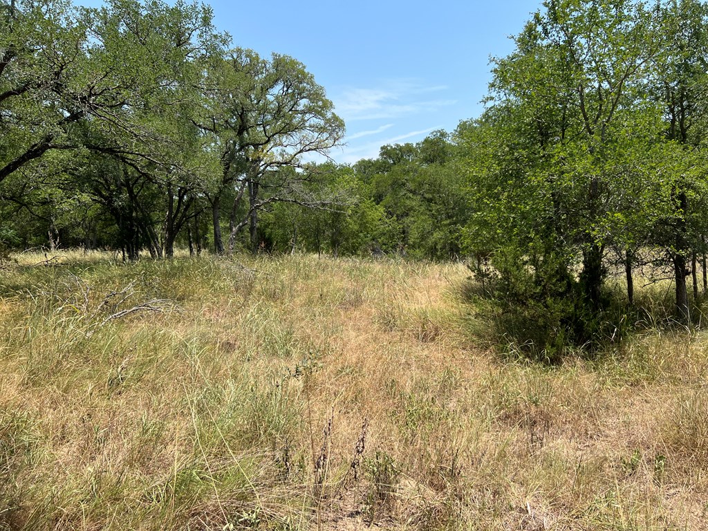Lot 90 Narrows Road, Unit 90 Blanco, TX 78606 - Photo 4 of 6 Gallery Image 4