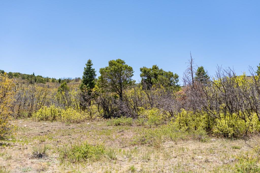 Lot 25 Majors Ranch Walsenburg, CO 81089 - Photo 22 of 34