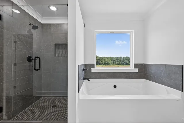 a bathroom with a bathtub and shower