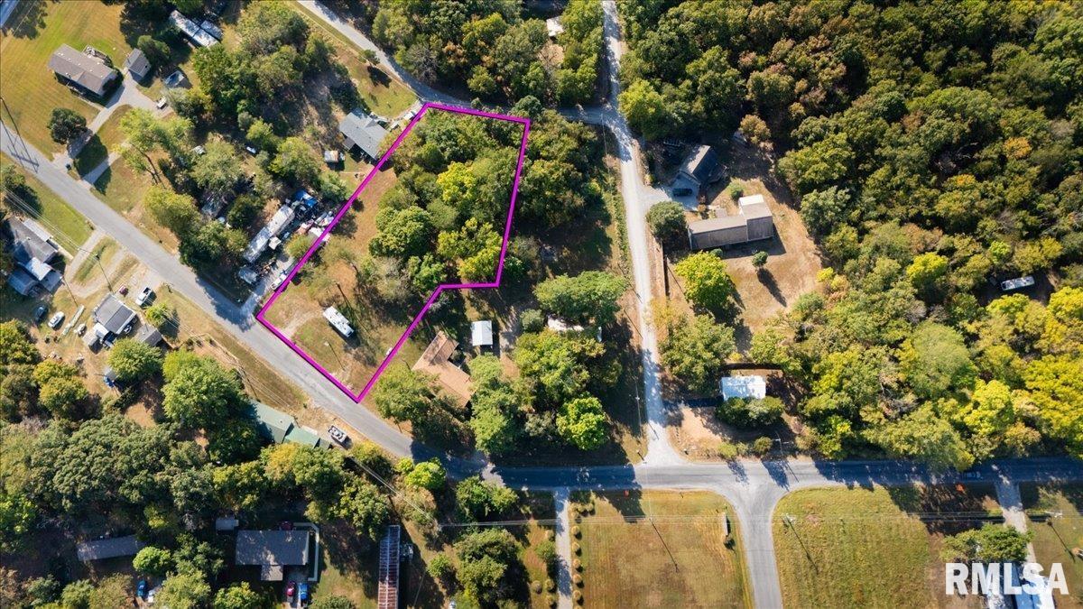 a picture of flowers