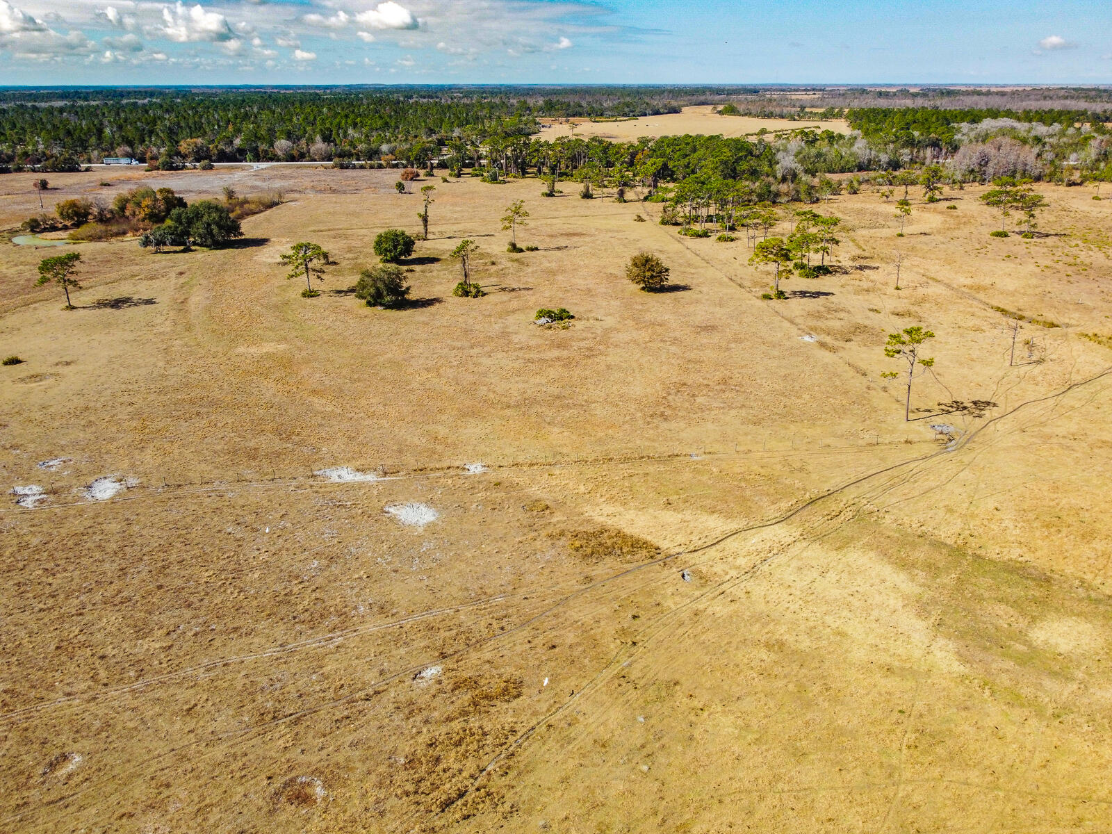 5151 South Kenansville Road Okeechobee, FL 34972 - Photo 20 of 31 21-Aerial