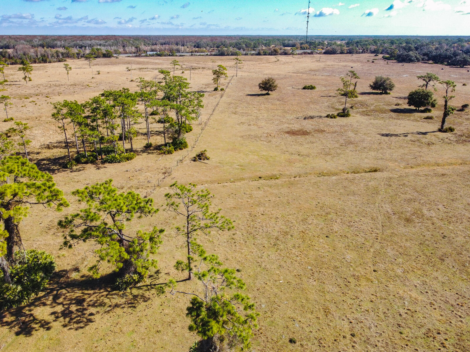 5151 South Kenansville Road Okeechobee, FL 34972 - Photo 23 of 31 24-Aerial