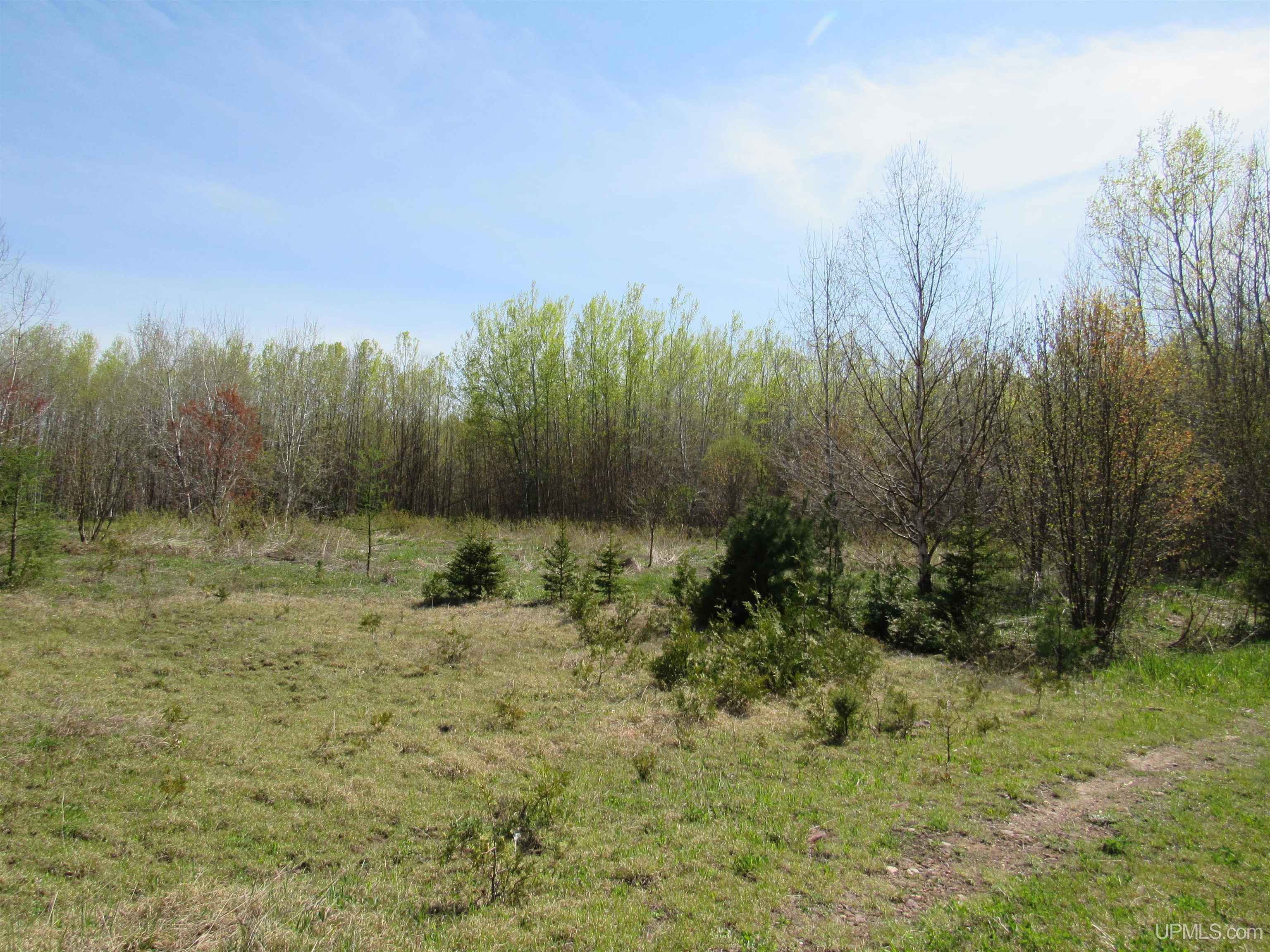 Tbd Off Rice Lake Road, Unit NO DRIVE BYS Lake Linden, MI 49945 - Photo 15 of 40