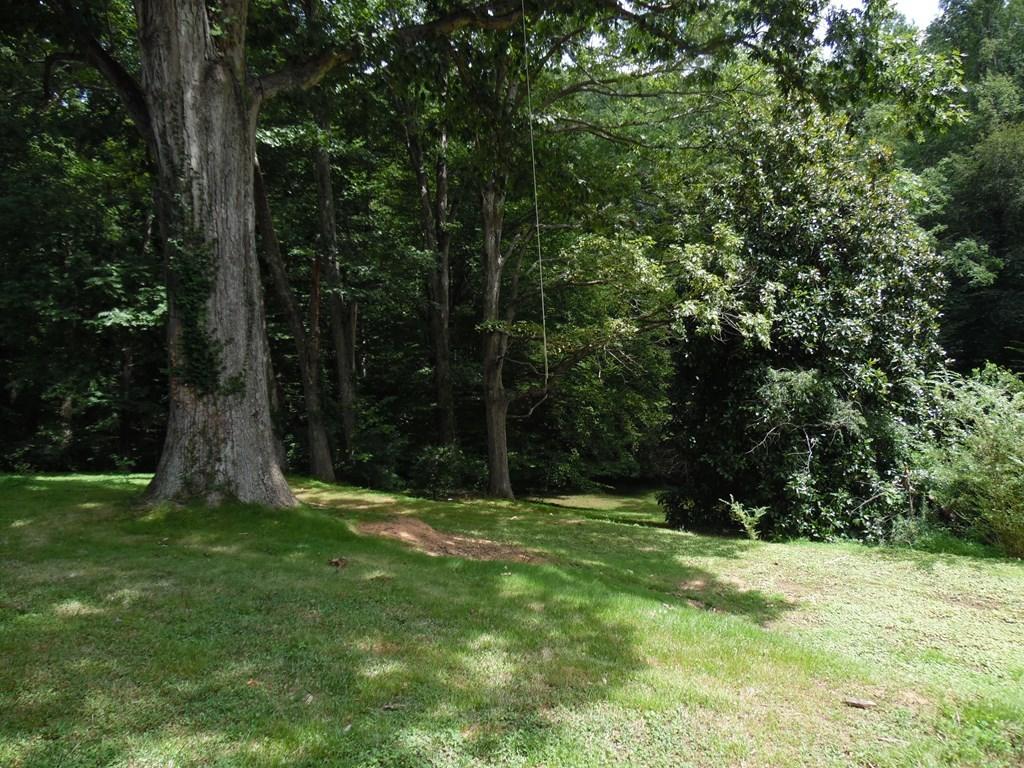 286 Ridgewood Road Bassett, VA 24055 - Photo 14 of 15 133790_22