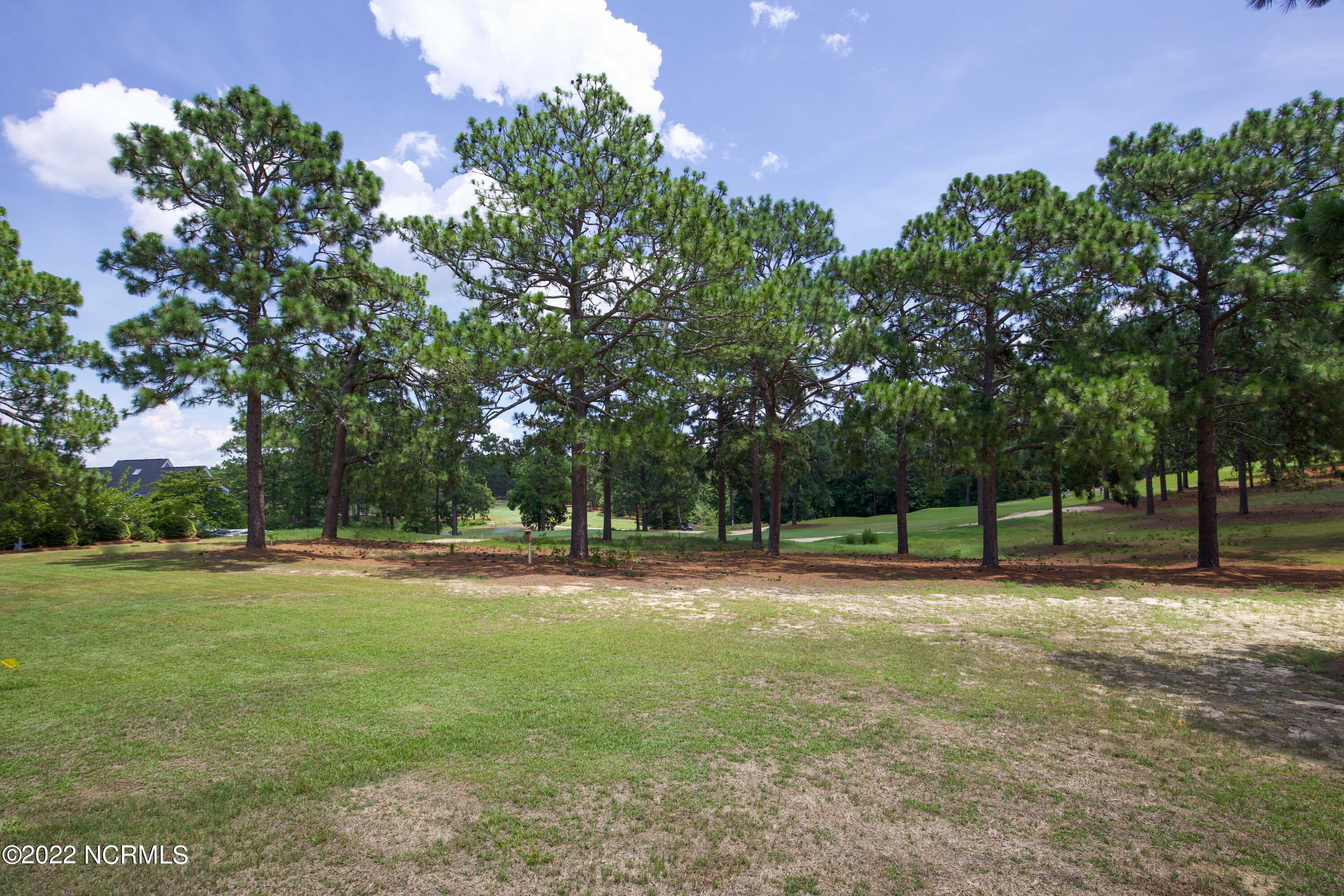 209 Knoll Road Southern Pines, NC 28387 - Photo 54 of 57 209 N Knoll Rd-46