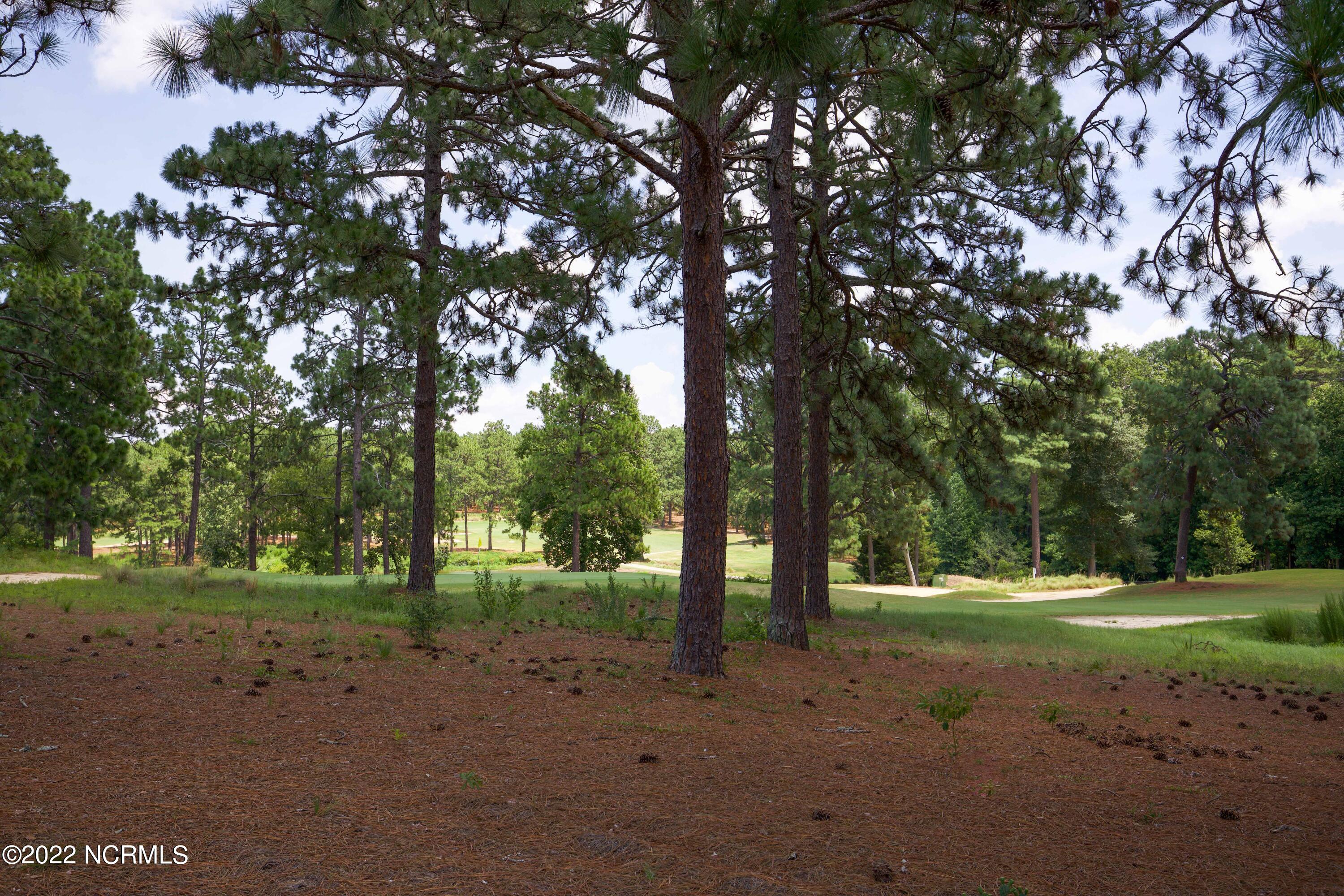 209 Knoll Road Southern Pines, NC 28387 - Photo 56 of 57 209 N Knoll Rd-48