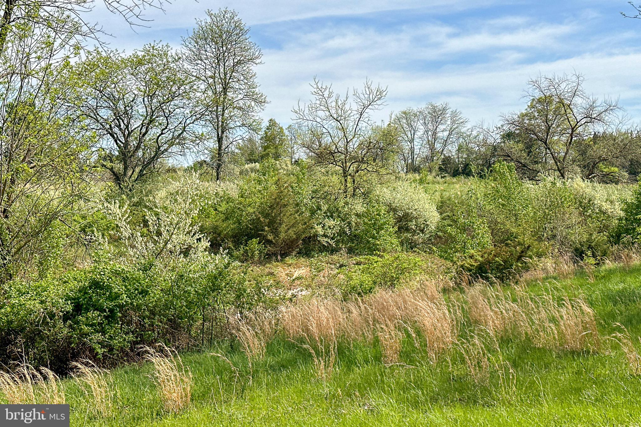 64 Harlingen Road Belle Mead, NJ 08502 - Photo 41 of 41 Gallery Image 41