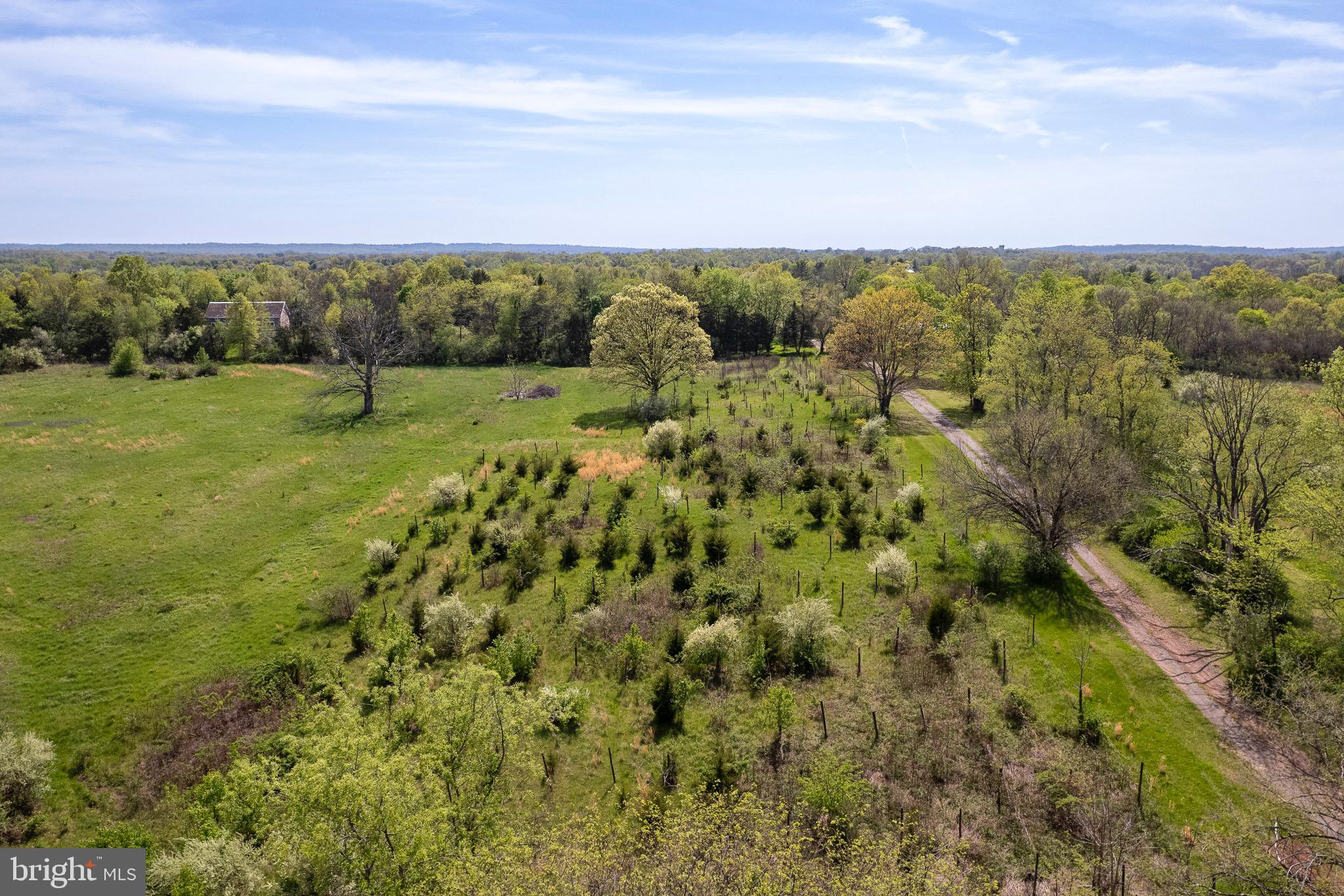 64 Harlingen Road Belle Mead, NJ 08502 - Photo 5 of 41 Gallery Image 5