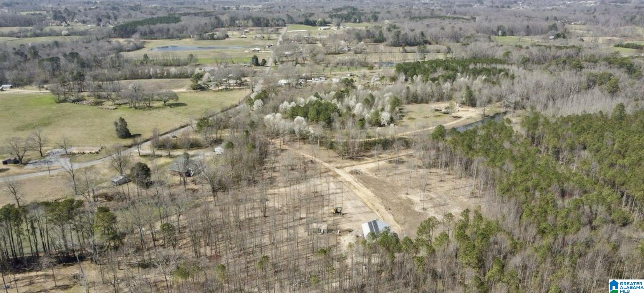 657 Maze Road Arab, AL 35016 - Photo 8 of 18