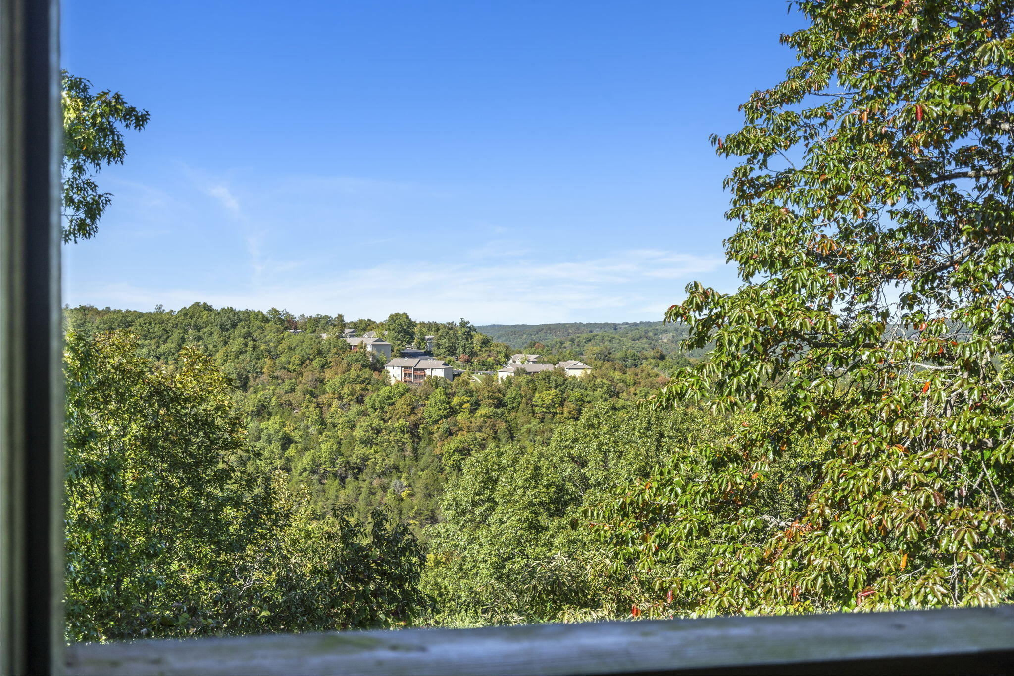 527 Notch Lane, Unit 10 Reeds Spring, MO 65737 - Photo 25 of 45 27-web-or-mls-DSC06075