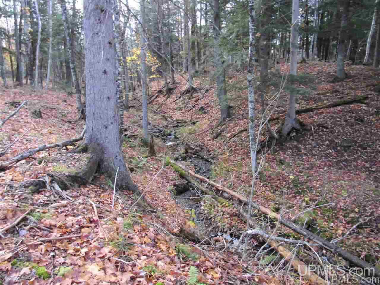 Lot 1 Sicotte Road Skanee, MI 49962 - Photo 14 of 23