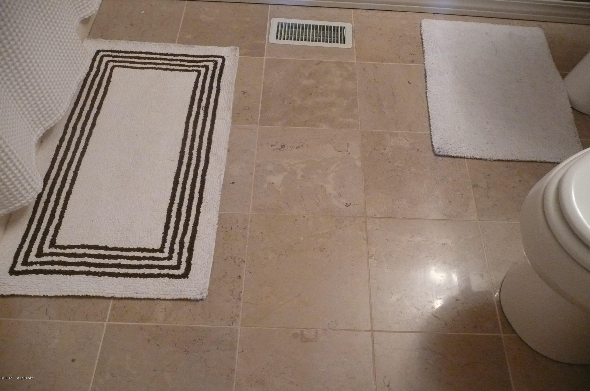 226 Rolling Ridge Way Simpsonville, KY 40067 - Photo 21 of 32 Marble Tile Floor....