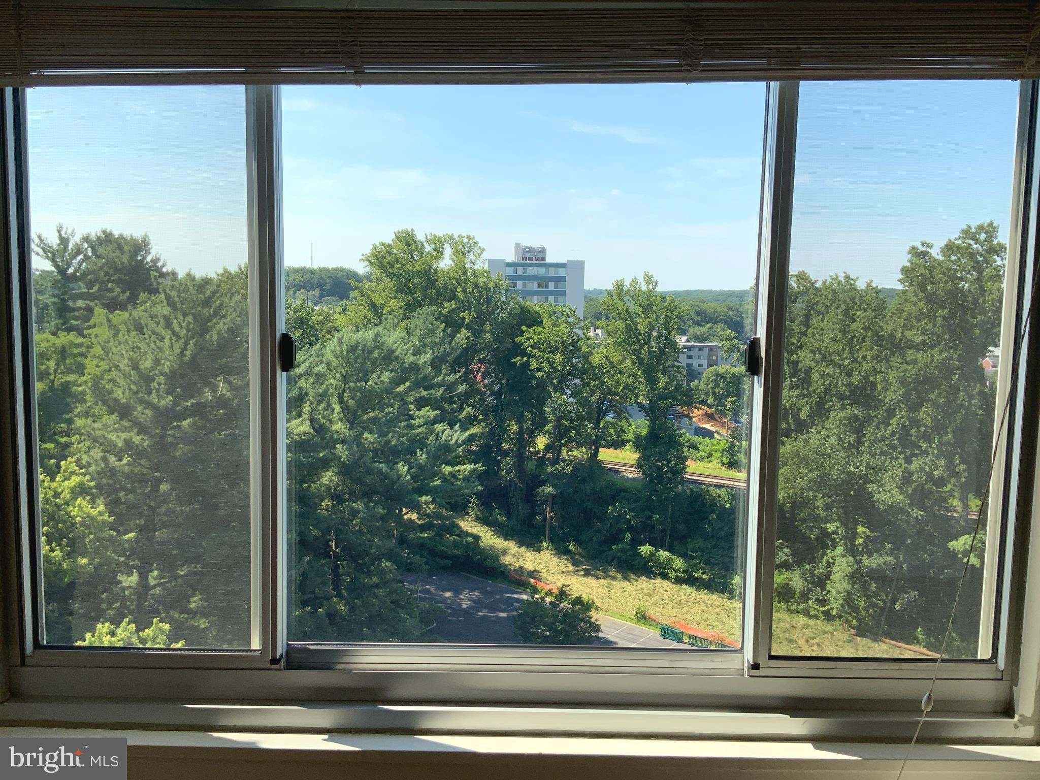 1900 Lyttonsville Road, Unit 1215 Silver Spring, MD 20910 - Photo 24 of 53 View of 16th St from Primary Bedroom