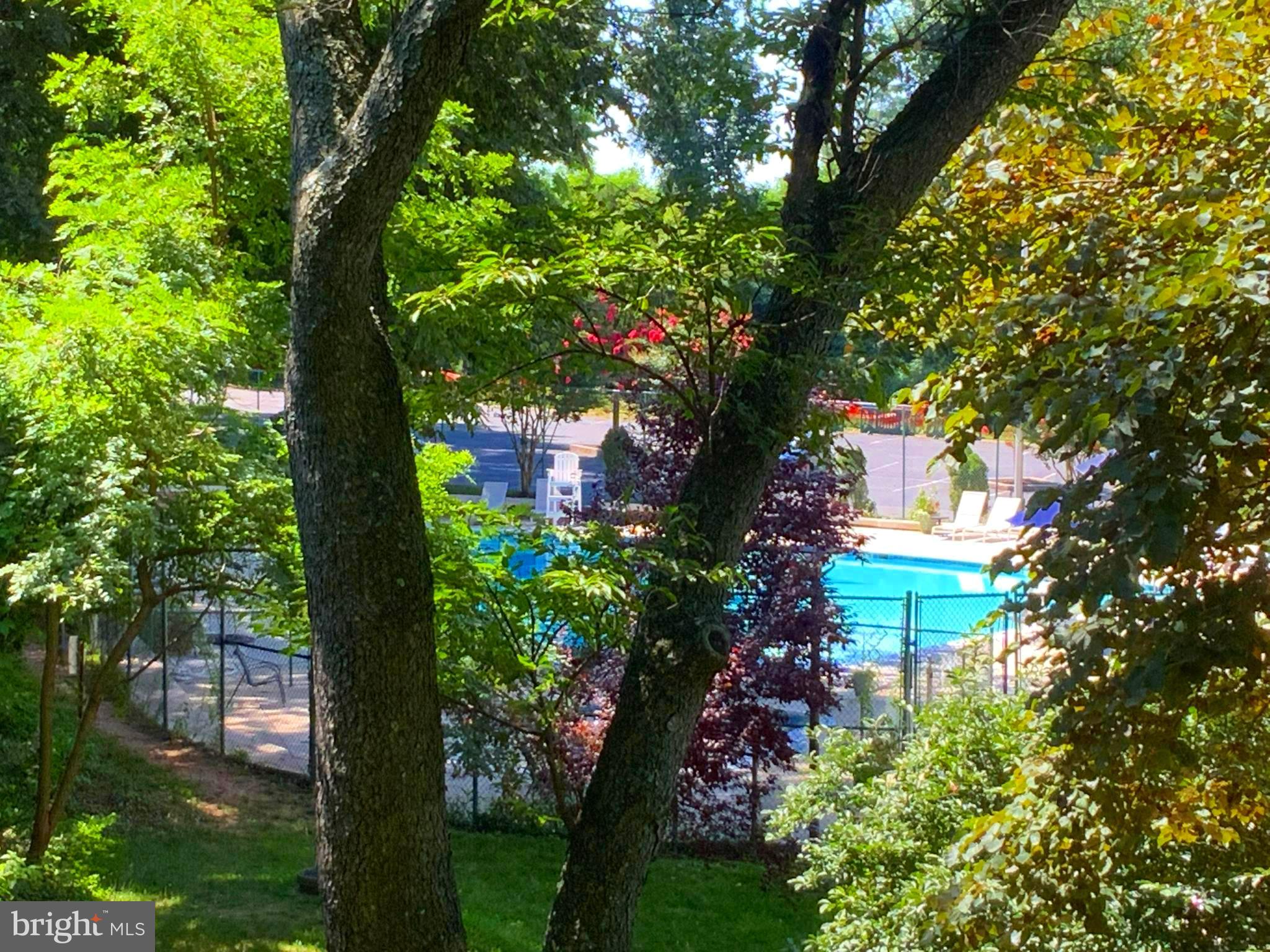 1900 Lyttonsville Road, Unit 1215 Silver Spring, MD 20910 - Photo 34 of 53